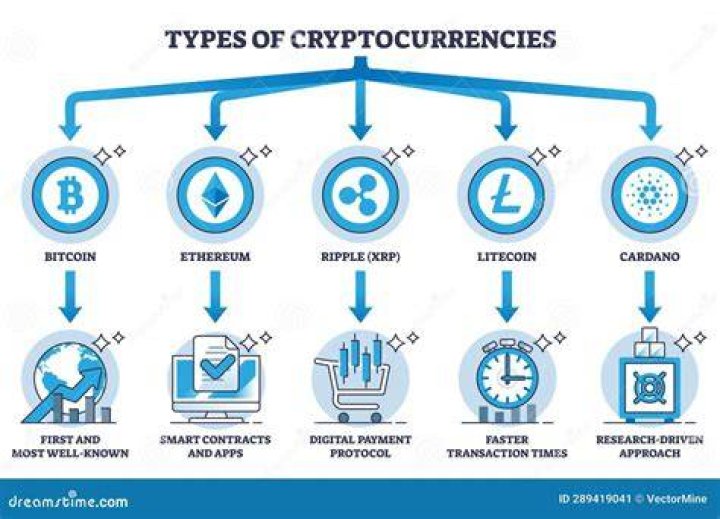 Coyyn: A Comprehensive Guide to Understanding the Future of Cryptocurrency