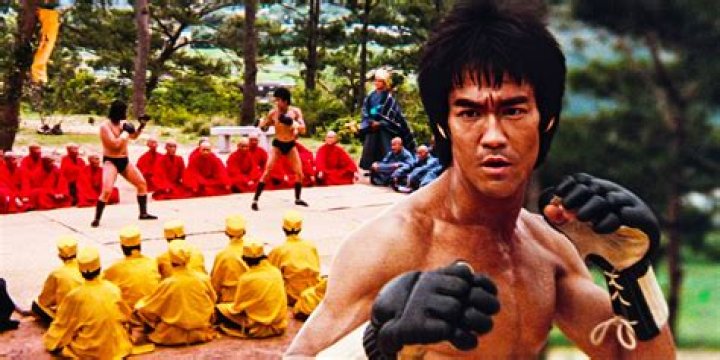 Discover Gracie Bond's Martial Arts Legacy and Techniques