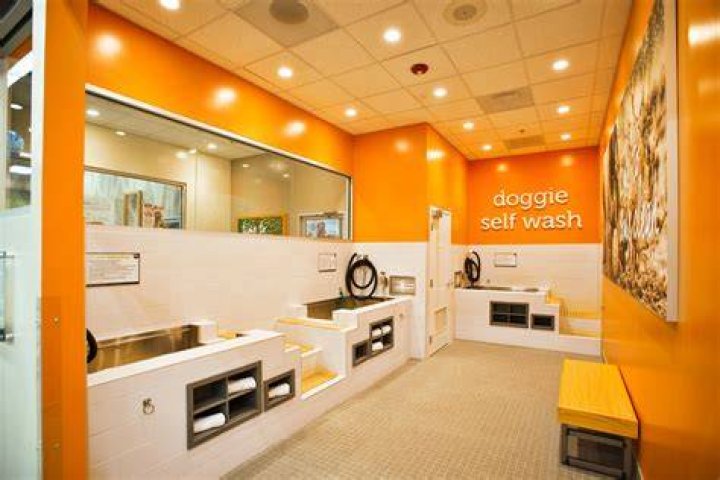 Discover the Benefits of Petco Self Wash for Your Furry Friend