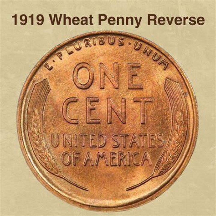Discover the Hidden Value: Uncovering the Worth of a 1919 Wheat Penny