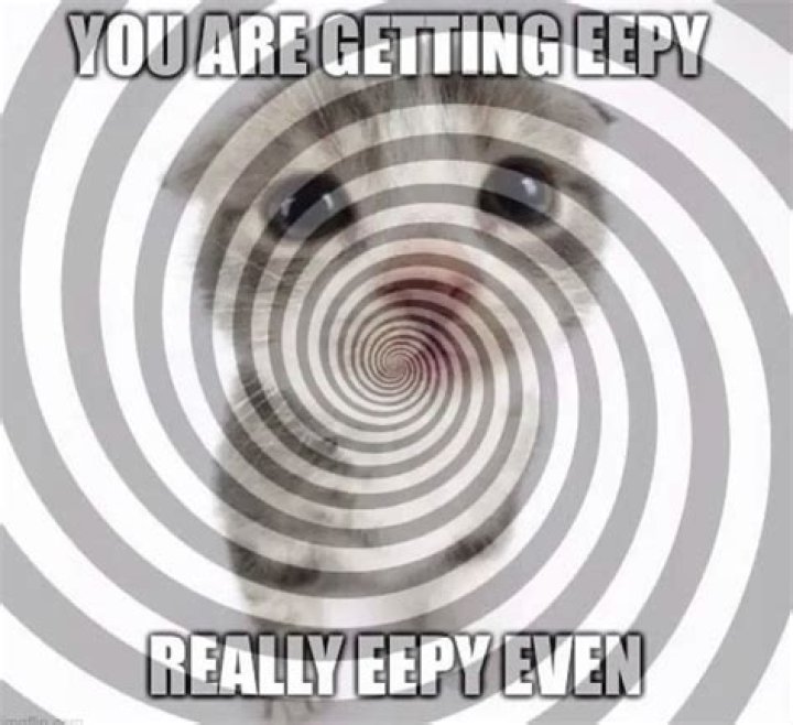 Eepy Meaning: Understanding Its Significance and Usage