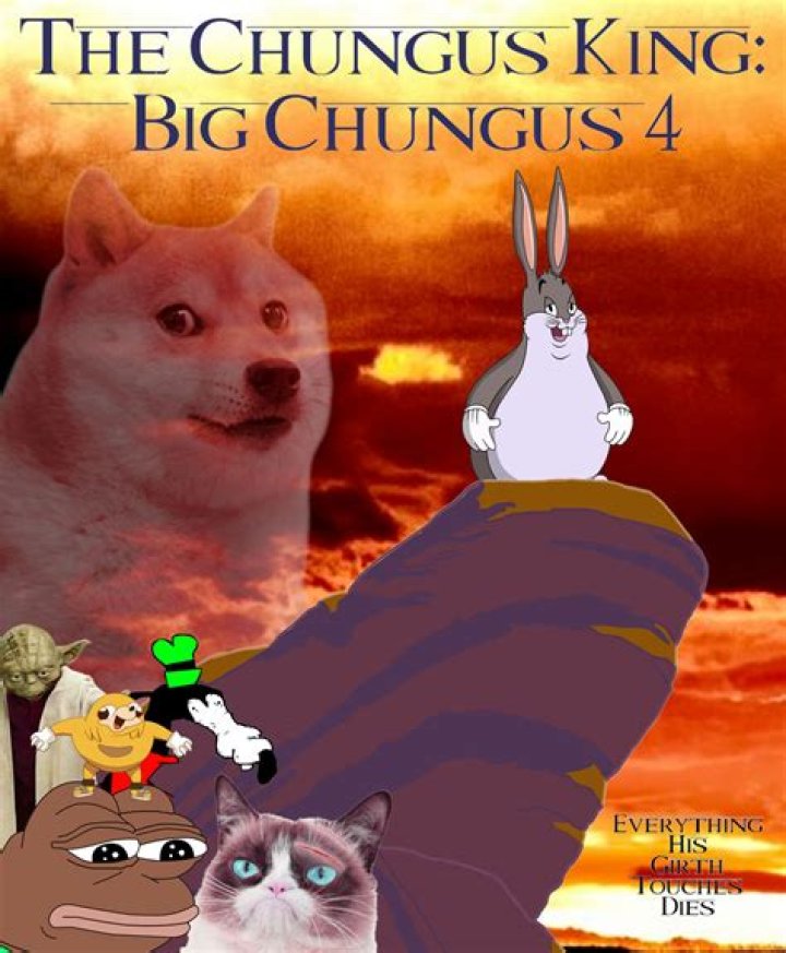 Embracing the Chaos: My Chungus Life Journey