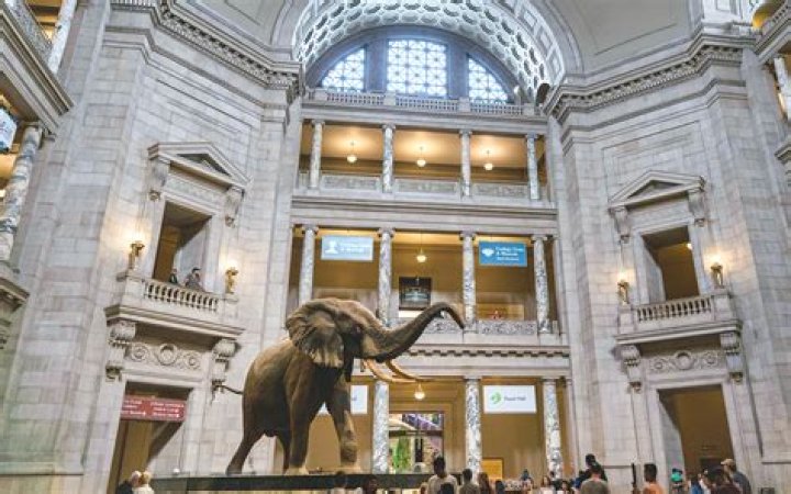 Exploring the American Museum of Natural History: A Comprehensive Guide