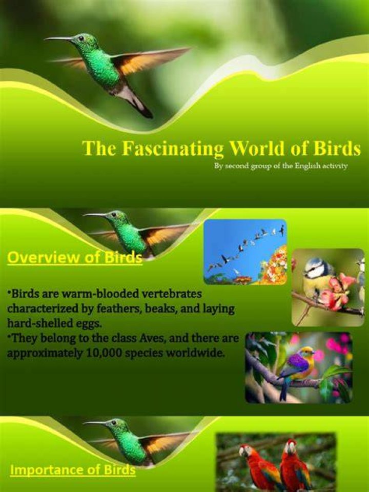 Exploring the Fascinating World of Forogore: A Comprehensive Guide