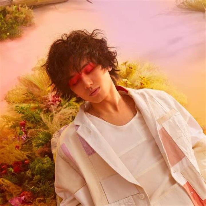 Fuji Kaze: The Rising Star of Japanese Music