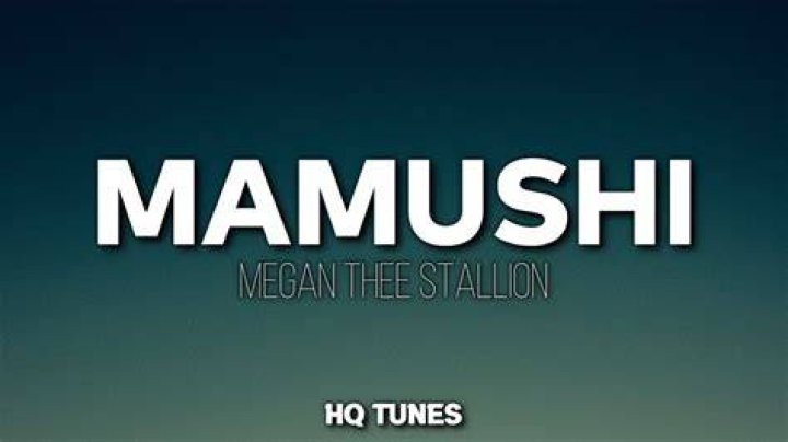 Mamushi Megan Thee Stallion: The Rising Star of Hip-Hop