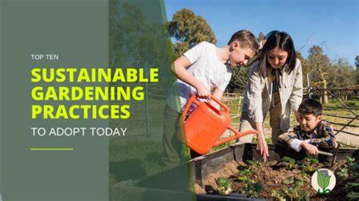 Natural Gardener: Embracing Sustainable Gardening Practices for a Greener Future