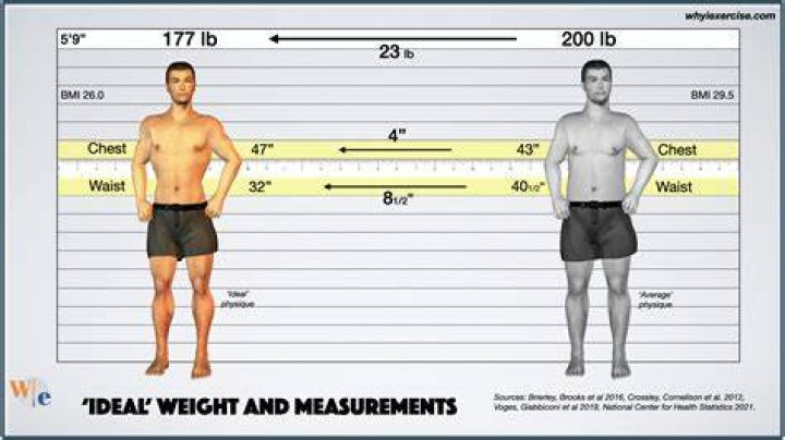 Penlope Cruz: Body Measurements at a Glance