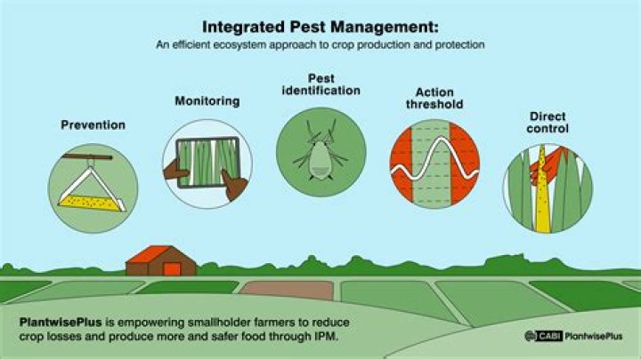 Pest Regretevator: An In-Depth Guide to Effective Pest Control