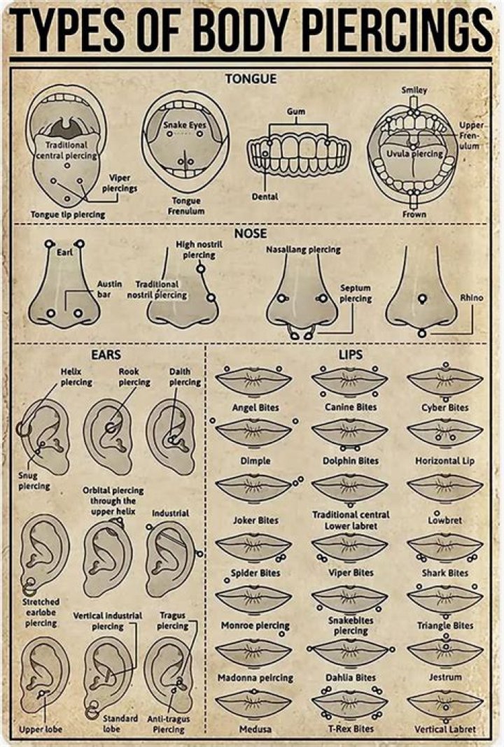 The Fascinating Evolution of Body Piercing: A Historical and Cultural Journey