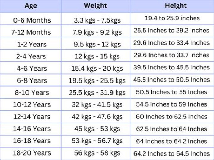 Tom MacDonald Height and Weight: Everything You Need to Know