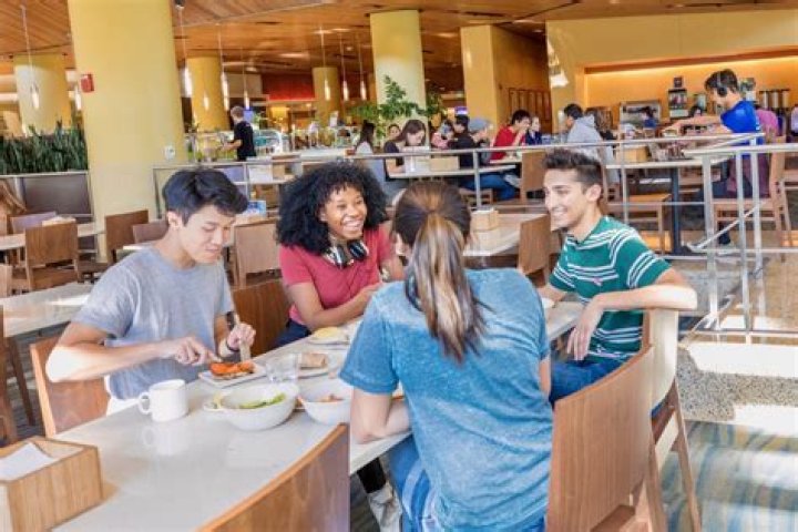 UCLA Dining: A Comprehensive Guide to Campus Food Options