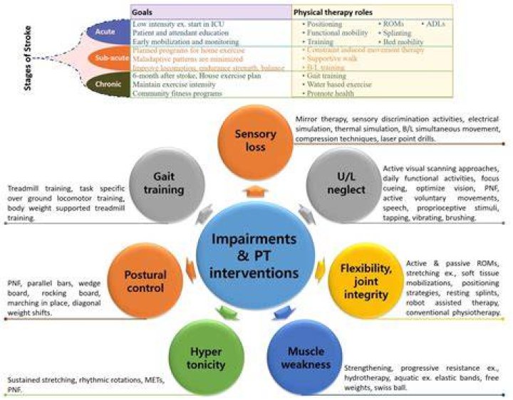 Understanding Team Rehabilitation: A Comprehensive Guide