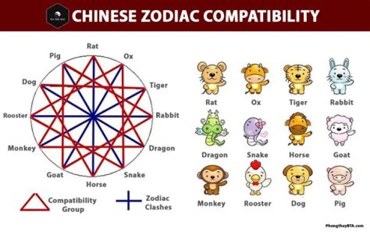 Understanding the June 21 Zodiac: Traits, Compatibility, and More