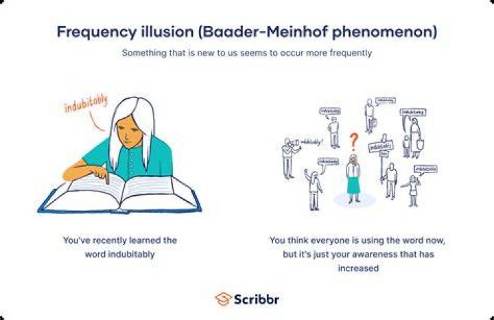 Understanding the Phenomenon of 