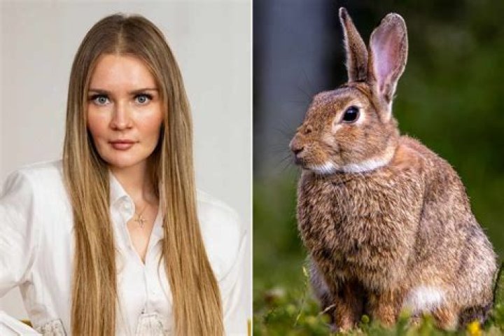 Unveiling the Anna Delvey Family: A Deep Dive into Her Background