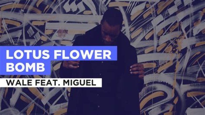 Wale Lotus Flower Bomb: The Impact of a Cultural Phenomenon