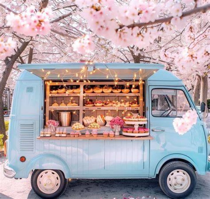 Whimsical Eats: The Allure of the Preppy Cute Food Truck