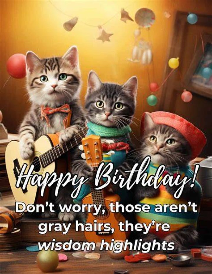 Witty Wishes: Celebrating Happy Birthday Funny Moments